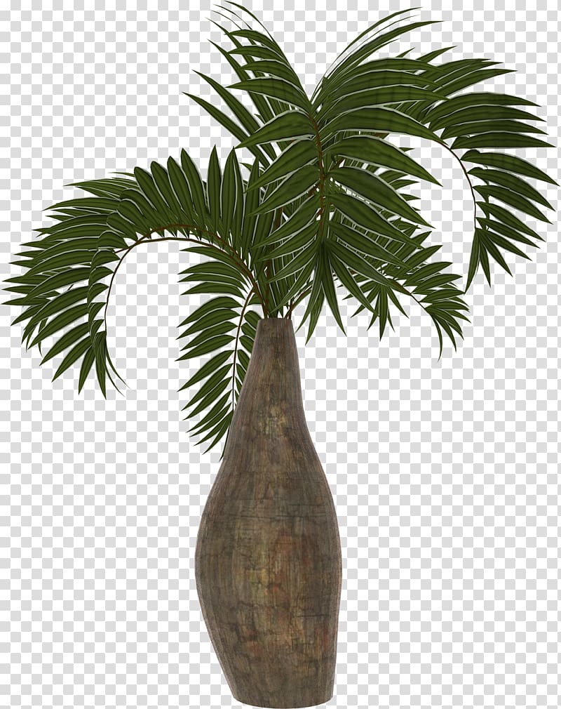 Arecaceae Asian palmyra palm Coconut Date palm Plant, Palm transparent background PNG clipart