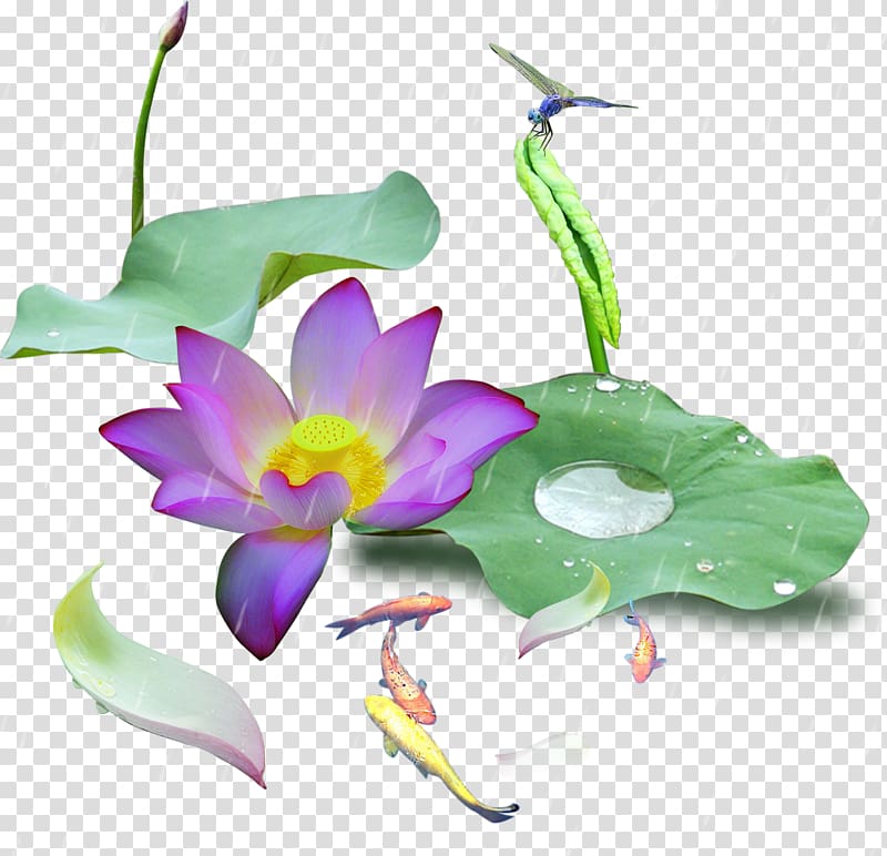 frame Icon, Rain pond transparent background PNG clipart