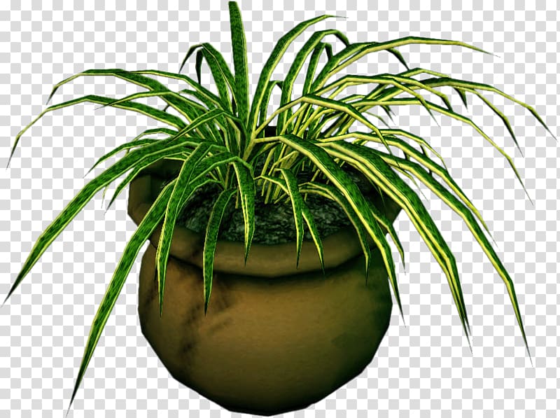 Dead Rising 3 Houseplant Flowerpot, potted plants transparent background PNG clipart