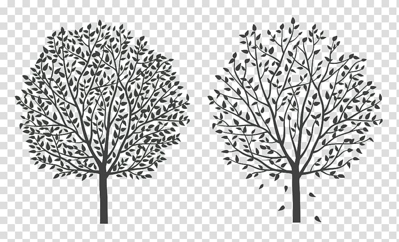 Tree Twig Silhouette Cartoon Line art, Two black silhouettes of trees transparent background PNG clipart