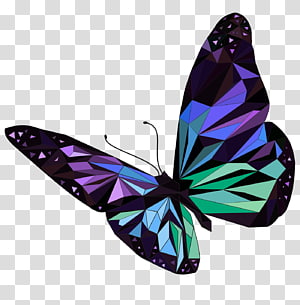 Butterfly , butterfly transparent background PNG clipart thumbnail
