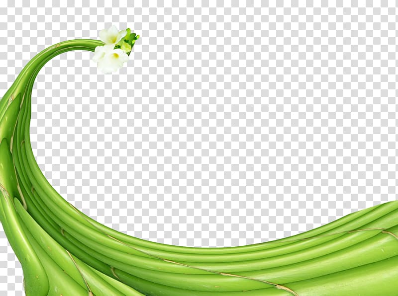 Bamboo, Zen Spa Vegetable, bamboo salon transparent background PNG clipart
