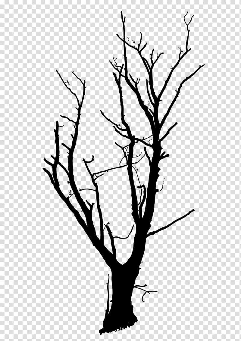 Tree Drawing Branch , dead tree transparent background PNG clipart
