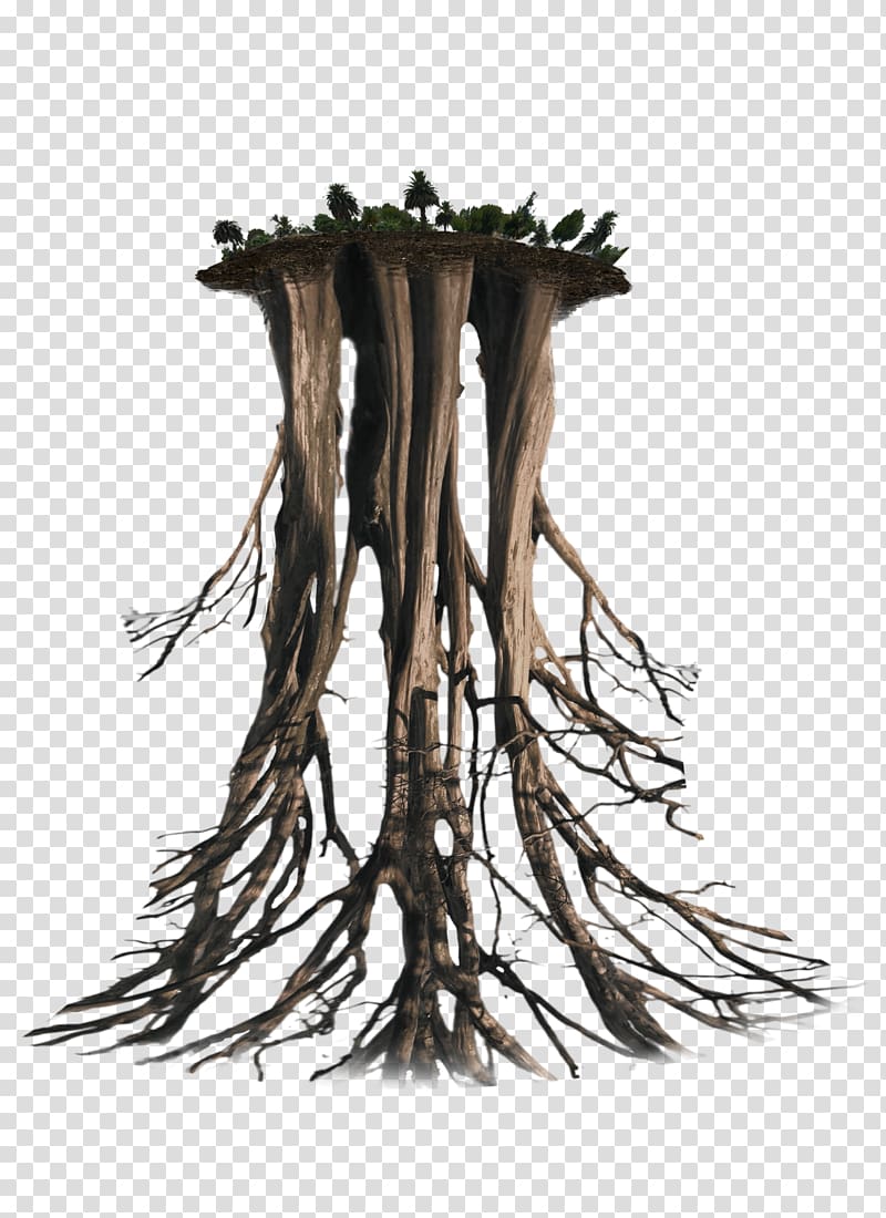 Tree Root Trunk, floating transparent background PNG clipart