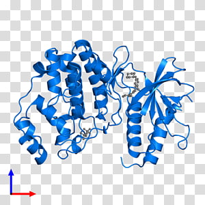 Organism Line Microsoft Azure , line transparent background PNG clipart thumbnail