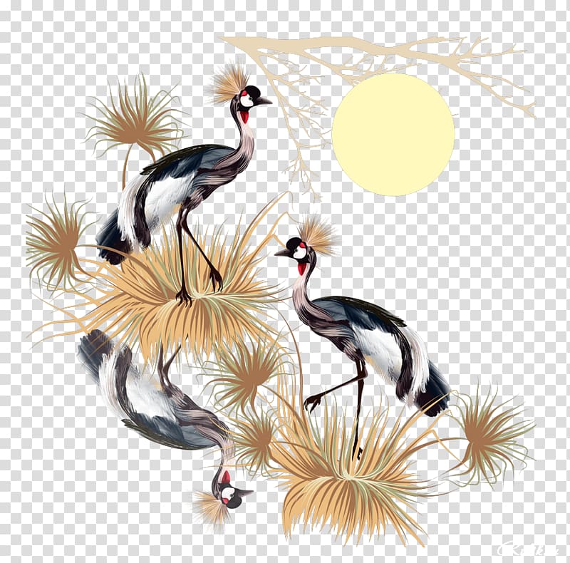 Crane Bird Drawing, crane transparent background PNG clipart