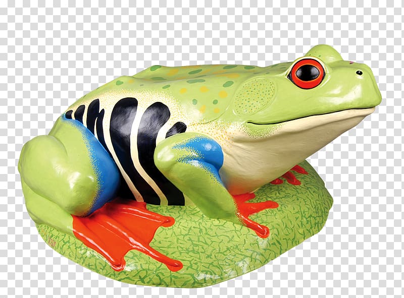 American bullfrog Toad True frog , Rana transparent background PNG clipart