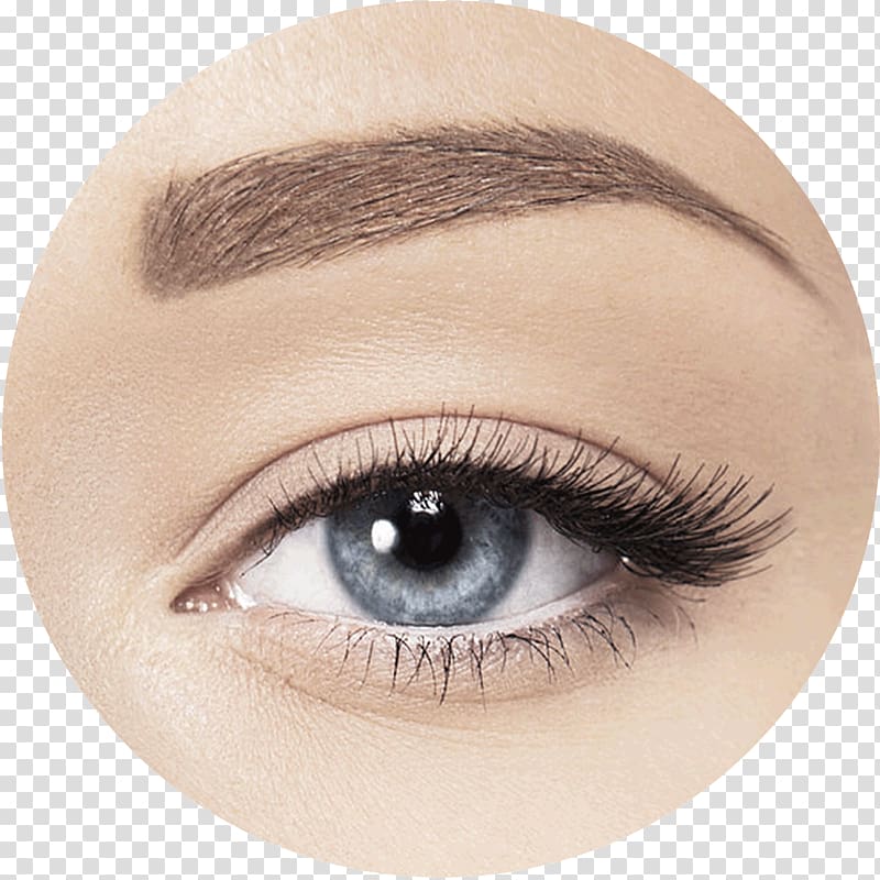 Eyebrow Eye liner , Eye transparent background PNG clipart