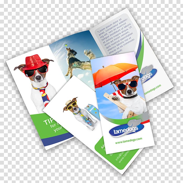 Advertising Brochure Printing Folded leaflet, design transparent background PNG clipart