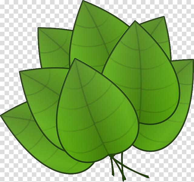 Leaf , green leaves potted buckle transparent background PNG clipart