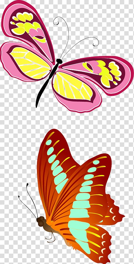 Butterfly Bee Euclidean , Fun Colorful butterfly beautiful animal transparent background PNG clipart