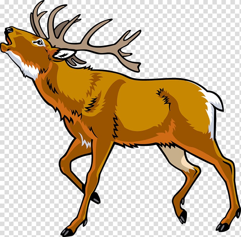 Elk Red deer , Hand-painted cartoon wild deer transparent background PNG clipart