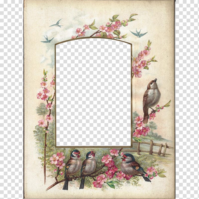 Frames Albums Carte de visite, BIRDS Frame transparent background PNG clipart