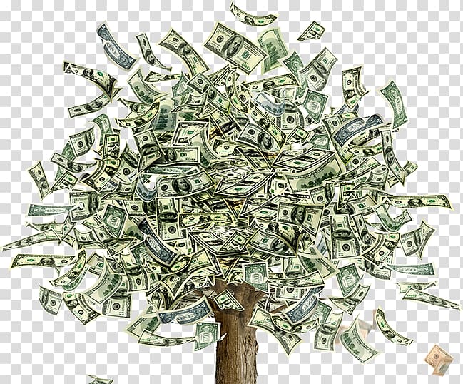 Money Guiana Chestnut Investment Debt consolidation Tree, tree transparent background PNG clipart