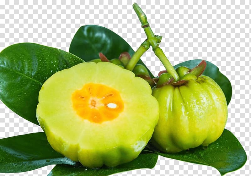 Garcinia cambogia Dietary supplement Weight loss Hydroxycitric acid Garcinia indica, Garcinia cambogia transparent background PNG clipart