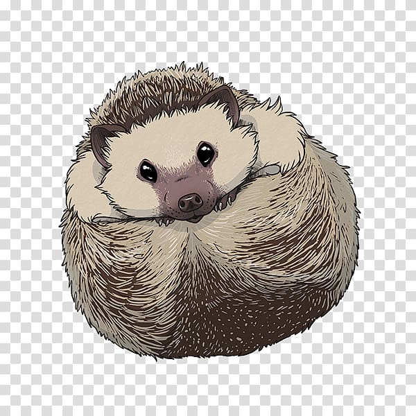 Domesticated hedgehog Porcupine, hedgehog transparent background PNG clipart