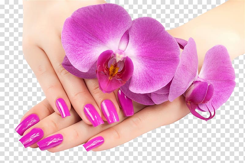 pink moth orchid on person hand, Nail salon Nail polish Gel nails Pedicure, Purple nail transparent background PNG clipart