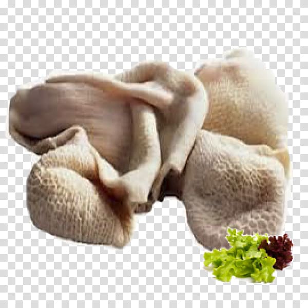Goat Meat Stomach Sheep, goat transparent background PNG clipart