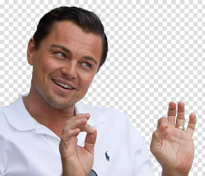 Leonardo DiCaprio The Wolf of Wall Street YouTube Humour Sarcasm, leonardo dicaprio transparent background PNG clipart