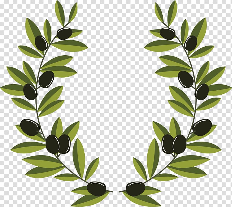 green leaf illustration, Olive branch Olive wreath, olive branch decoration transparent background PNG clipart