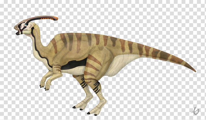 Tyrannosaurus Charonosaurus Late Cretaceous Iguanodon Megalosaurus, dinosaur transparent background PNG clipart