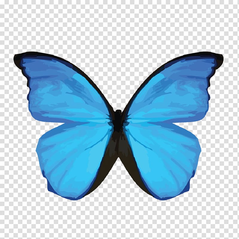 Menelaus blue morpho Morpho didius Insect Common blue morpho Butterflies, amicable transparent background PNG clipart