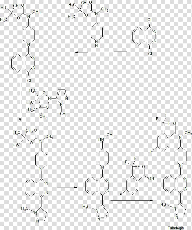 Pharmaceutical drug Small molecule Oral administration Receptor antagonist, Reductive Amination transparent background PNG clipart