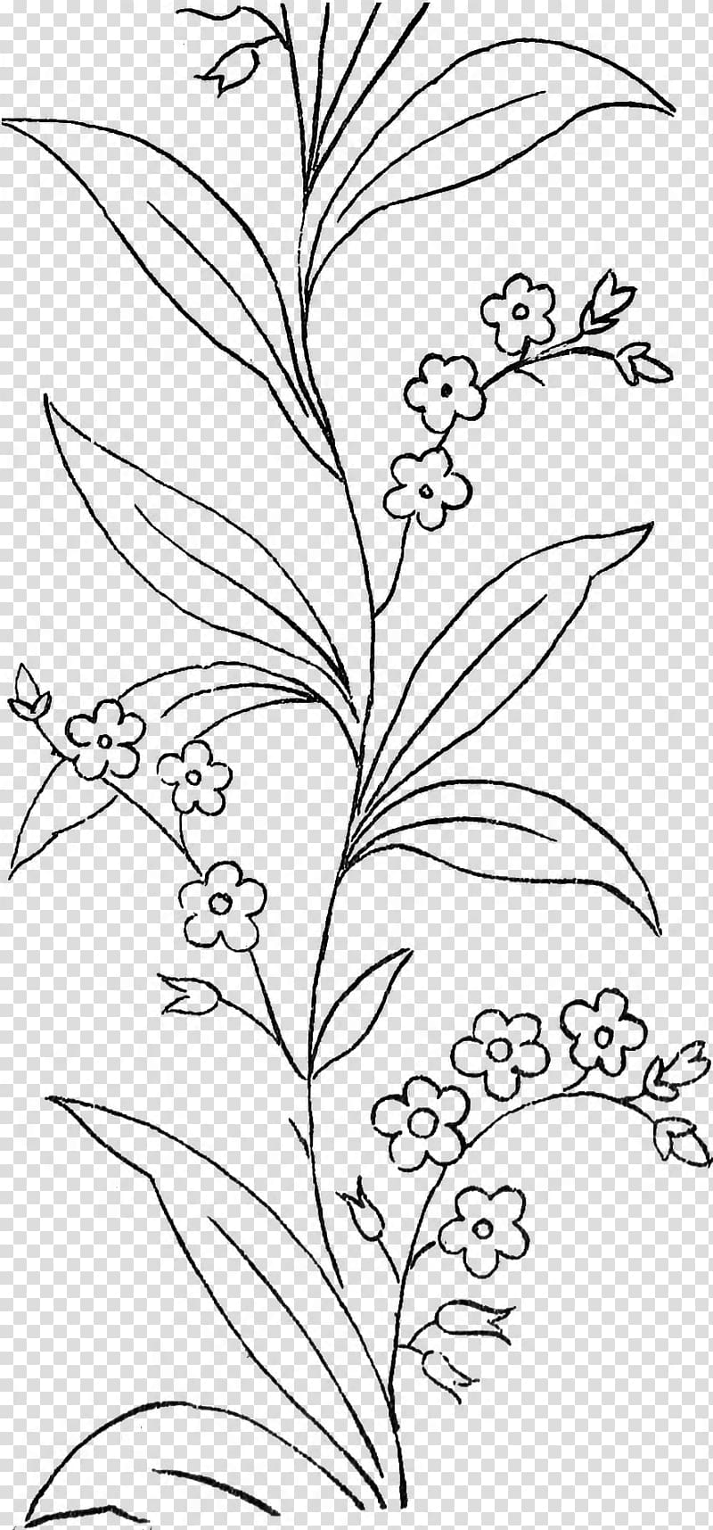 Black and white Leaf Line art Drawing Coloring book, forget me not transparent background PNG clipart