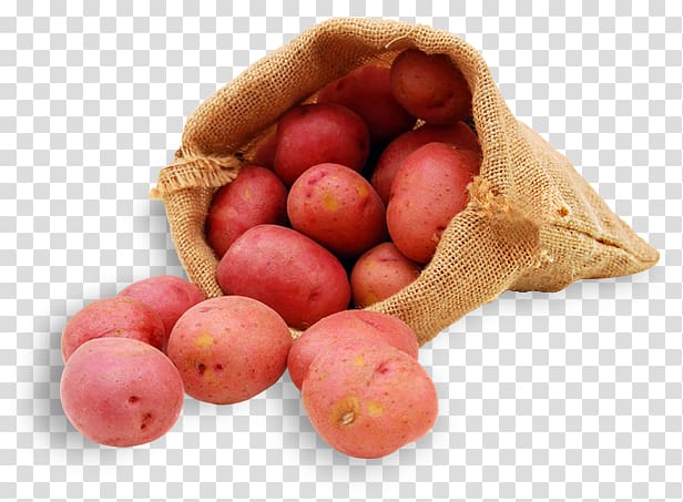 Potato Solanum tuberosum Natural foods, paprikas krumpli transparent background PNG clipart