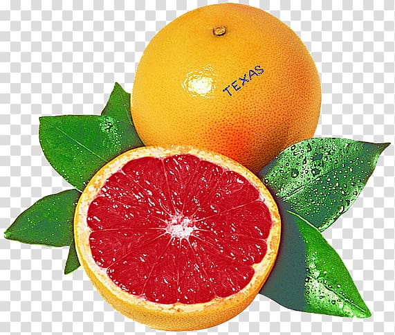 Blood orange Grapefruit juice Rangpur Tangelo, grapefruit transparent background PNG clipart