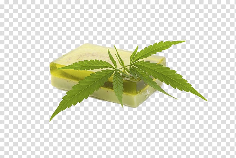 Hemp milk Cosmetics Cannabis Cream, Marijuana leaves and soap transparent background PNG clipart