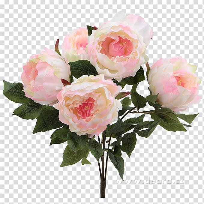 Peony Flower bouquet Artikel Garden roses, peony transparent background PNG clipart