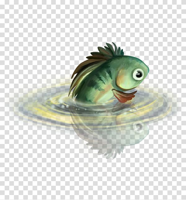 Fish , The fish in the water transparent background PNG clipart