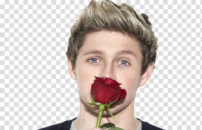 Niall Horan One Direction Desktop , riff raff rapper transparent background PNG clipart