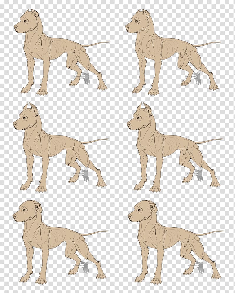 Dog breed Italian Greyhound Whippet Sloughi Spanish greyhound, pitbull icon transparent background PNG clipart