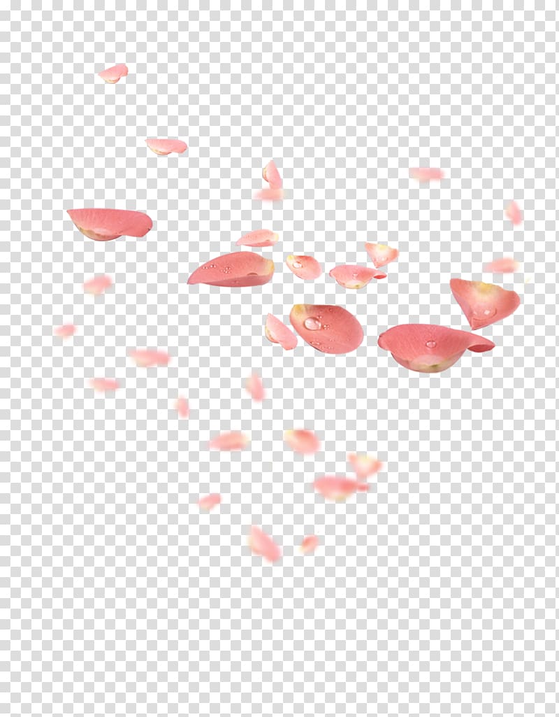 Petal Pink Flower Red, Falling Petals transparent background PNG clipart