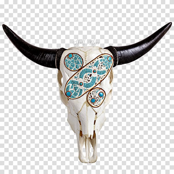 Cattle Turquoise Skull XL Horns, Xl Horns transparent background PNG clipart