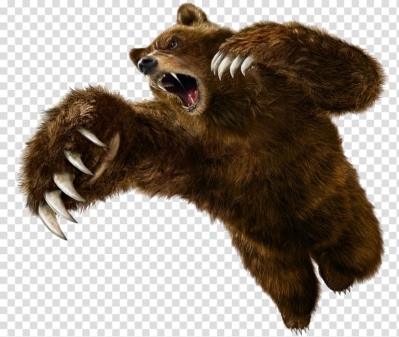 Tekken 5 Tekken 6: Bloodline Rebellion Angry Bear, bear transparent background PNG clipart