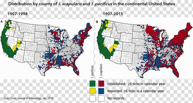 United States Lyme disease Deer tick, united states transparent background PNG clipart