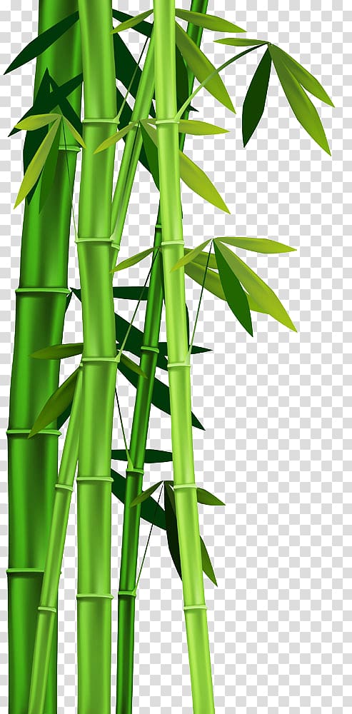 bamboo tree, Bamboo Plant stem , bamboo transparent background PNG clipart
