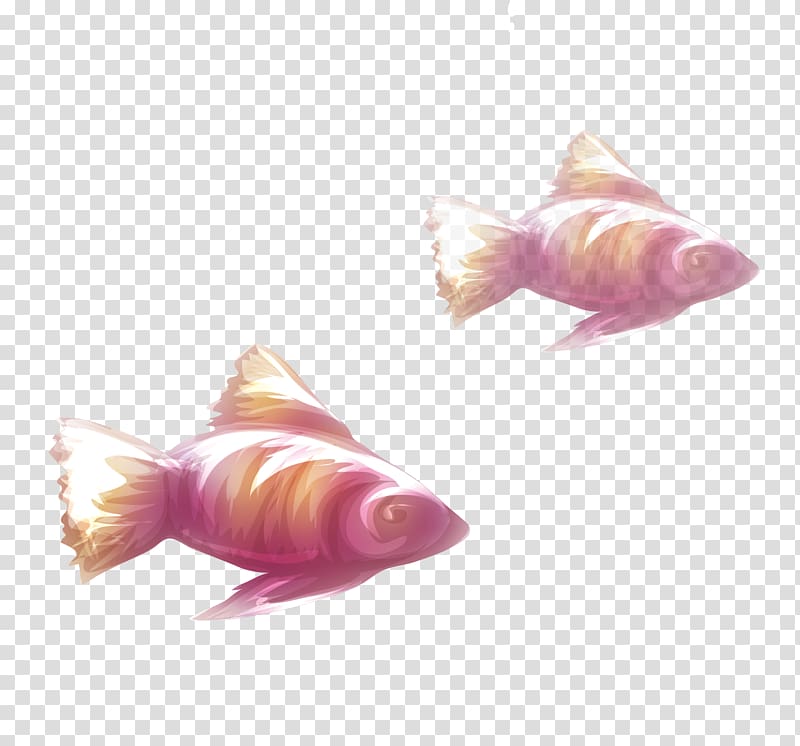 Fish Euclidean Computer file, Fish transparent background PNG clipart