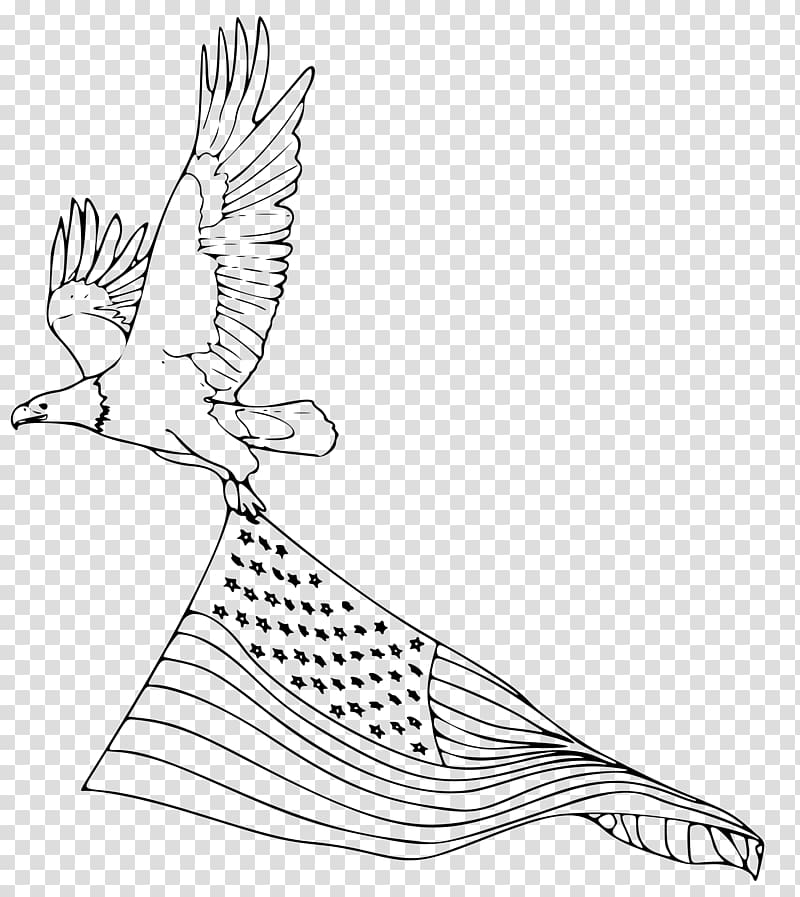 Bald Eagle Coloring book Golden eagle Drawing, eagle transparent background PNG clipart