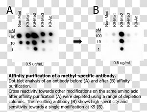 Brand Line Point Font, line transparent background PNG clipart thumbnail