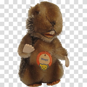 beaver cuddly toy