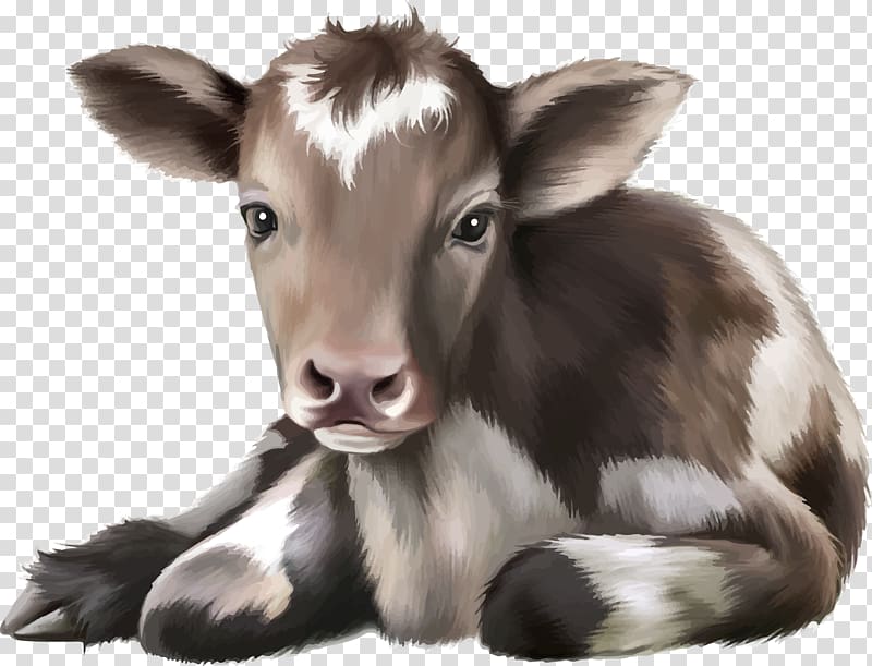 Calf roping Cattle , cow transparent background PNG clipart