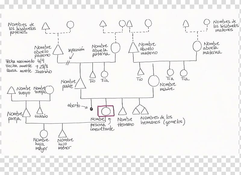 Family tree Genealogy Genogram Family Constellations, Family transparent background PNG clipart