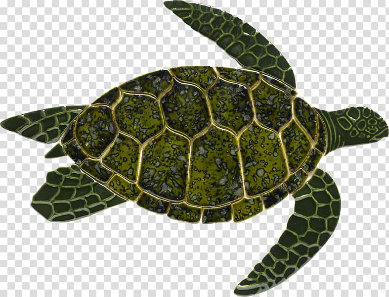 Green sea turtle Reptile Turtle shell, turtle transparent background PNG clipart