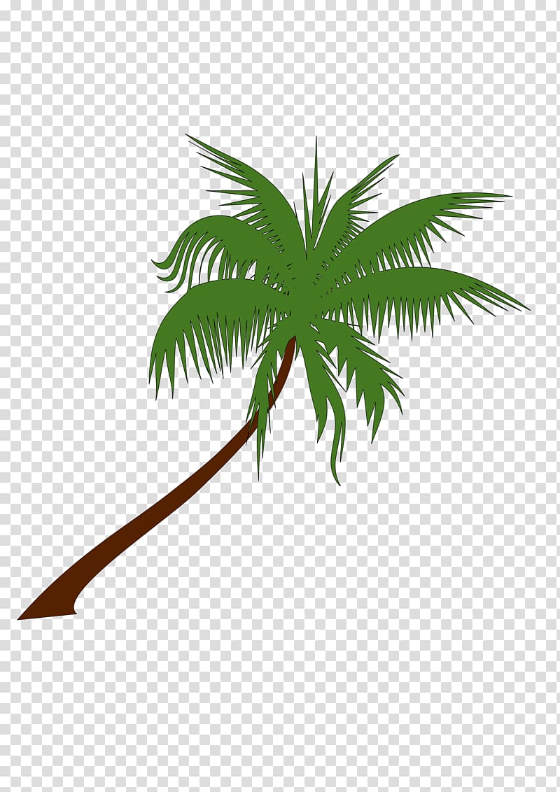 Arecaceae Tree , Coconut Tree Free transparent background PNG clipart
