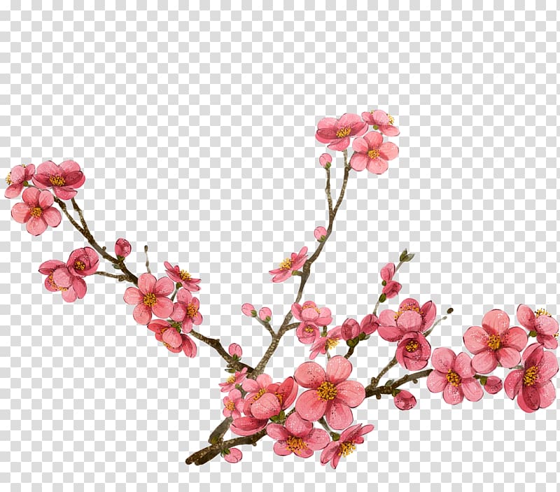 pink flowers illustration, Watercolor painting Plum blossom , Pink plum blossom design transparent background PNG clipart