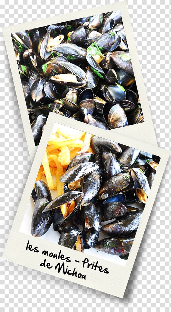 Mussel Moules-frites Dried Fruit Paella Recipe, moules transparent background PNG clipart